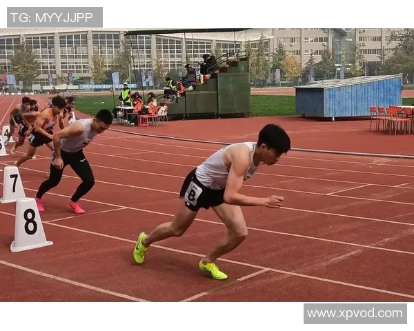 西安篮球队荣登心理素质排行榜第一名展现强大心理素质与团队精神